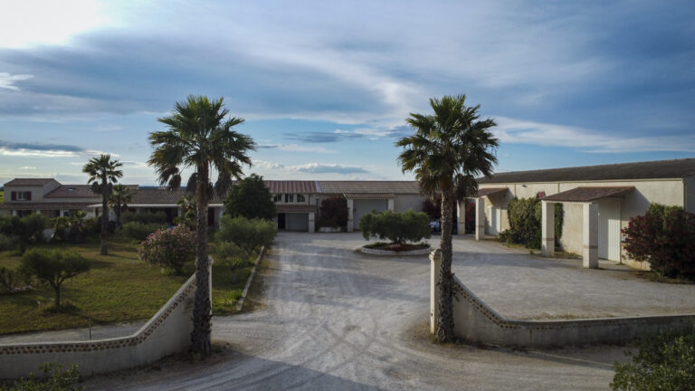 Belle d’Argence (57)