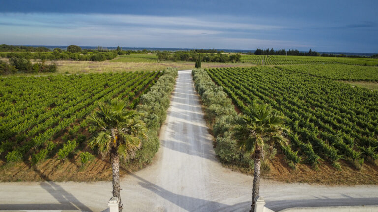 Belle d’Argence (58)