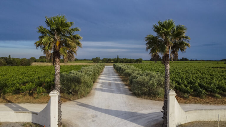 Belle d’Argence (59)